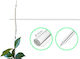 Plant Sticks Μεγεθος 50cm