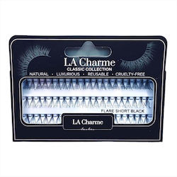 La Charme Tufts La Charme Tufts