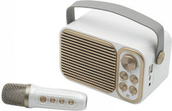 Ηχείο Karaoke με Ασύρματο Μικρόφωνο YS-104