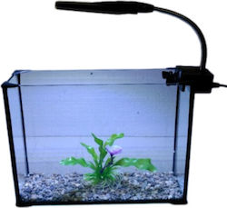 Greek Colal Fish Reptilienterrarium