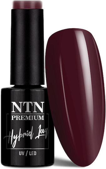 NTN Premium Halb-permanenter Nagellack 113 5gr 1Stück