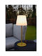 Lucide Lightning Tyon Table Lamp LED with Gold Shade and Base