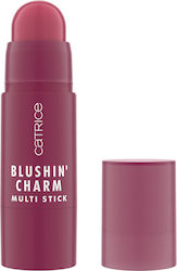 Catrice Cosmetics Stick Ρουζ 5.5gr