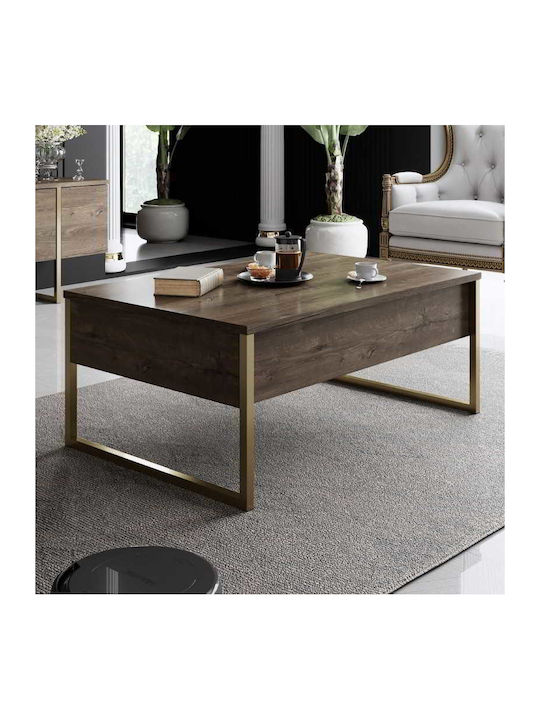 Rectangular Central Coffee Table Luxe Wooden Walnut - Gold M90xW60xH40cm