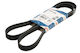 Bosch Grooved Drive Belt