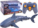 Water Shark Remote Controlled Toy