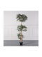 Supergreens Artificial Ruscus Tree Green 150 cm