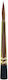 Rebel Kolinsky Natural Brush Layer 2