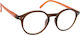 Oramont Reading Glasses +3.50 in Brown color 1129