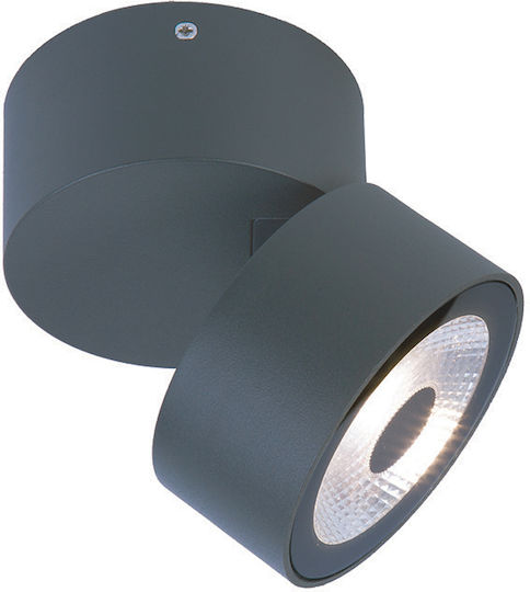 Gekas LED Warm White Ceiling & Wall Spot in Gray Color
