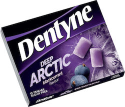 Dentyne Tief Arktische Schwarze Johannisbeere 16,8g