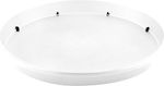 101655 Round Plate Pot White 12x12cm