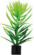 Πλαστικα Φυτα Ενυδρειου Hobby Plant Didiplis Mini 1.5x1.5x6 Cm