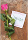 Apology Greeting Card Rose 100.087 – 90