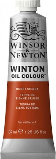 Winsor & Newton 37ml Winton Oil Burnt Sienna