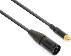 Power Dynamics XLR male - RCA female 0.15m CALIN238
