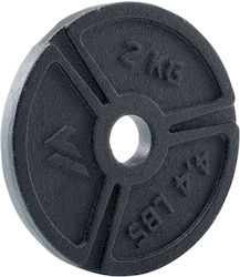 Martes Δίσκος Μεταλλικός 1 x 2kg Φ29mm Martes Δίσκος Μεταλλικός 1 x 2kg Φ29mm