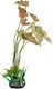 Tpster Tpster Aquarium Dekorative Pflanze Sc682...