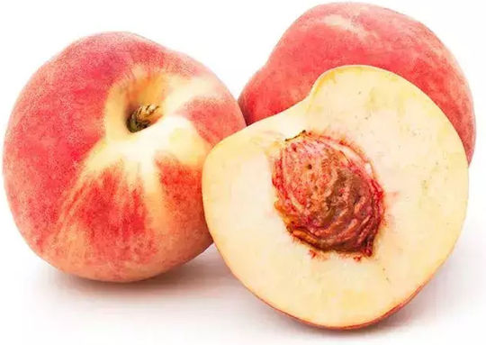 Δέντρο Ροδακινο Honey Dew Hale Λευκοσαρκη Δέντρο Ροδακινο Honey Dew Hale Λευκοσαρκη