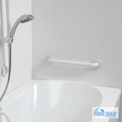 Ponte Giulio 38 Paint