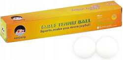 Ping Pong Balls 6pcs Ping Pong Balls 6pcs