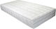 Sleepn'Life Deluxe Куинсайз Анатомичен Матрак 160x200x25см