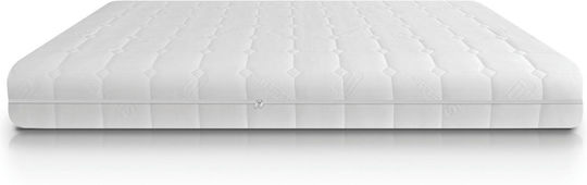 Eco Sleep Biorest Single Anatomic Saltea Spumă / Spumă de memorie Pachet rulat 90x190x22cm