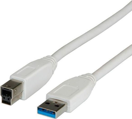 Rbline USB 2.0 Cable USB-A male - USB-B male Γκρι 1.8m