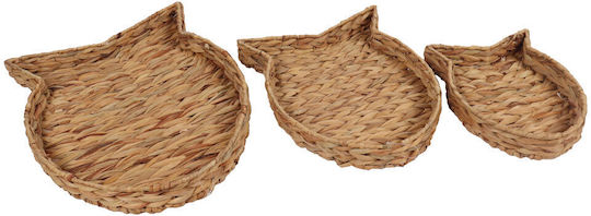 InTheBox Διακοσμητικός Δίσκος Korbweide 50x38x8cm 3Stück
