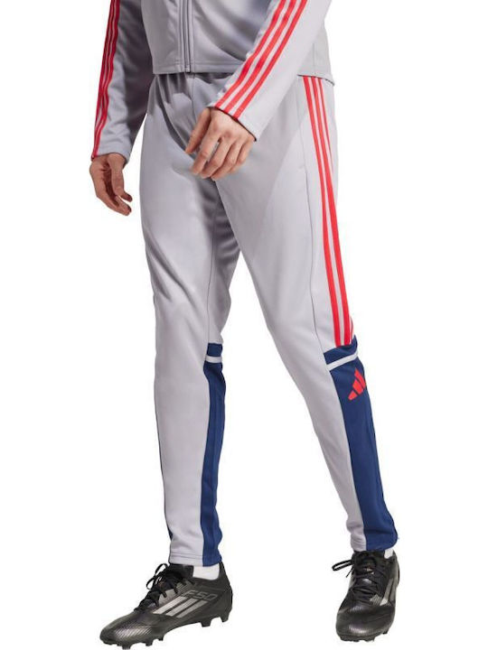 Squadra Pantaloni de trening Lucios Gri