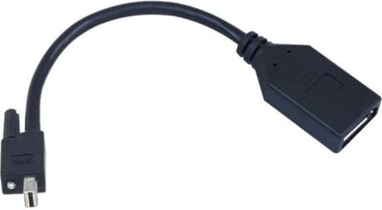 Matrox Converter DisplayPort / mini DisplayPort / VGA male to DisplayPort / mini DisplayPort / VGA female 1pcs