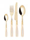 Casa Bugatti Set de Tacâmuri Inoxidabil Auriu 24buc