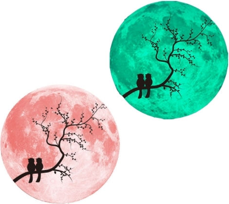 30cm Pink Fluorescent Moon Wall Sticker Couple Bird