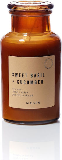 Sweet Basil & Cucumber Plant-Based Candle 250g Alchemist Maegen