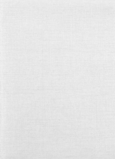 Serviette 30x40cm Buchfaltung Spunlace Eispack 800Stk 12-n3040e060508 Paperq
