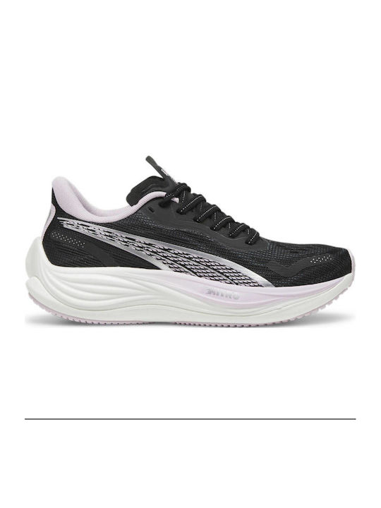 Velocity Nitro 3 Sport Shoes Running Black / Lilac - Black Lilac