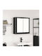 vidaXL Bathroom Mirror made of Stainless Steel with Shelf & Cabinet 60x21cm Black