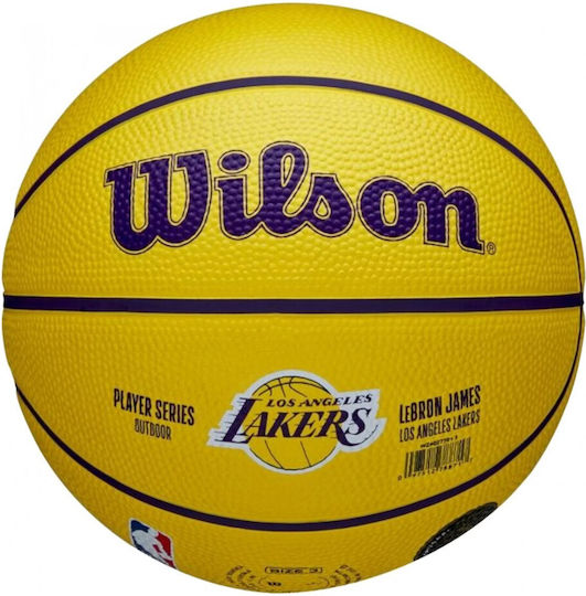 Wilson Player Icon Mini Mingea de baschet Interior/Exterior