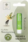 Olive Spa Lip Balm 4.5gr