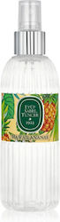 Eyup Sabri Tuncer Hawaiianische Ananas Kölnischwasserspray 150 ml Eyup Sabri Tuncer Hawaiianische Ananas Kölnischwasserspray 150 ml