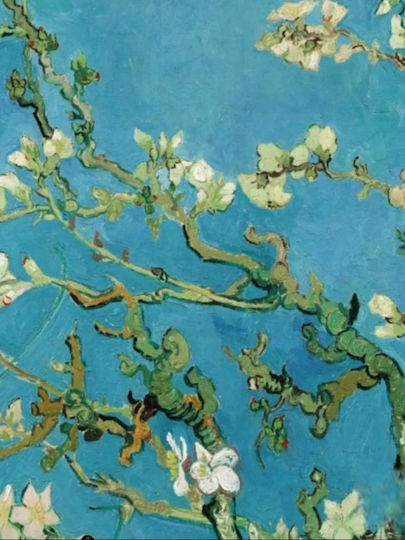 Van Gogh "Mandelblüte" Leinwanddruck 50*70 cm Nur Leinwand