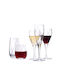 Rona Set of Glasses for White and Red Wine made of Crystal Stemmed 30pcs