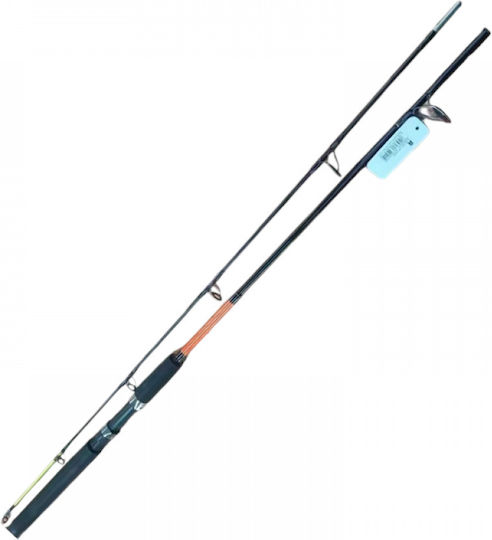 Καλάμι Ψαρέματος για Καθετή / Casting 2.7m 100-250gr