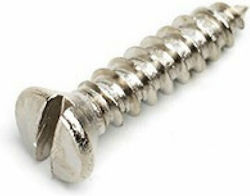 Fender Schlagbrettschraube Schlitzkopf Nickel