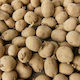 NitroFarm Σπόροι 5kg