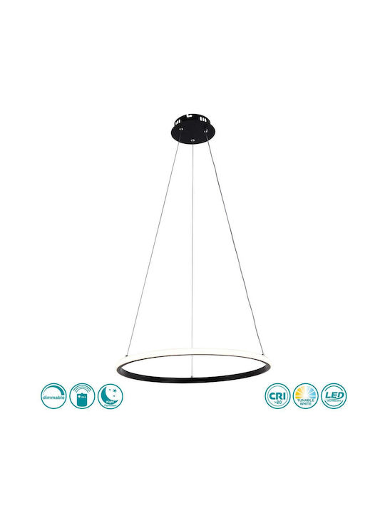 Optonica Pendant Light Black 50x100cm