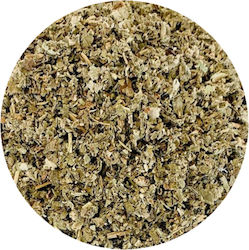 Königskerze oder Verbascum 250g