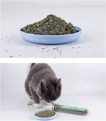 Nepeta Nepeta