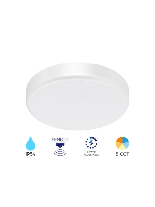 Braytron Deckenleuchte für den Außenbereich mit integriertem LED in Weiß Farbe BC15-00480