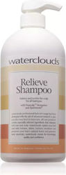 Waterclouds Relieve Anti-Schuppen Shampoo Inhalt 1000 ml Waterclouds Relieve Anti-Schuppen Shampoo Inhalt 1000 ml